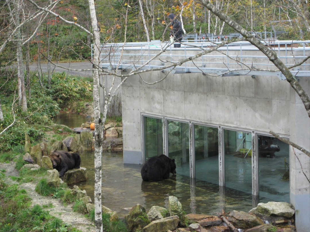 Bear Mountain Sahoro-新得町必去景点