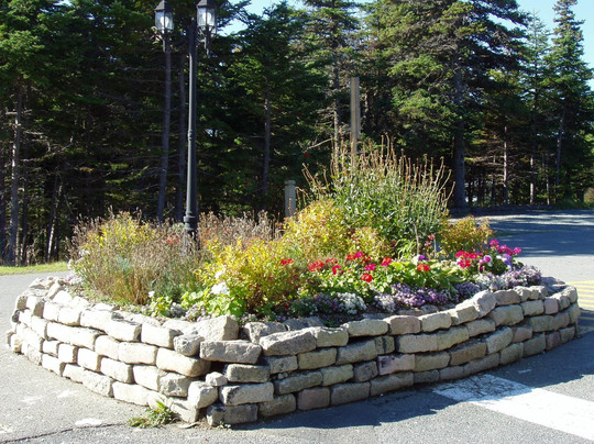 Pippy Park-圣约翰必去景点