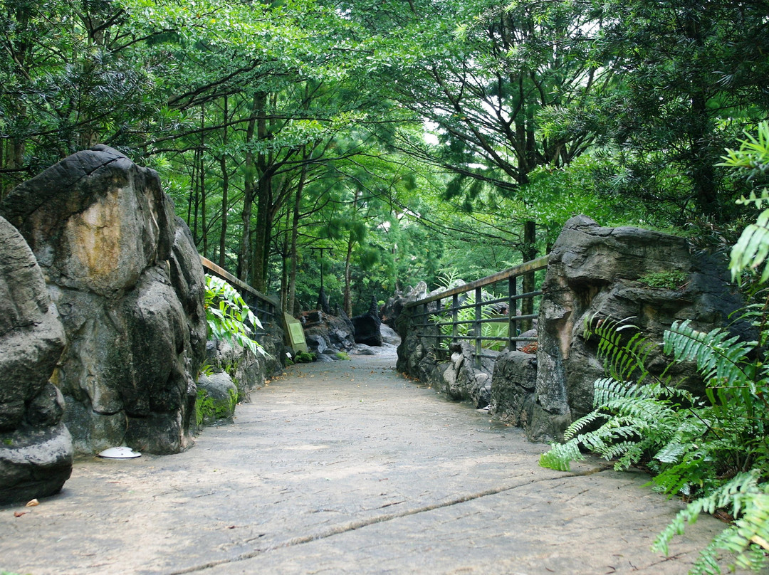 新加坡植物园-新加坡必去景点