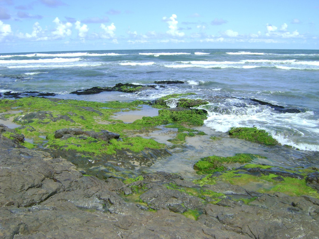 Parque Estadual de Itapeva景点图片