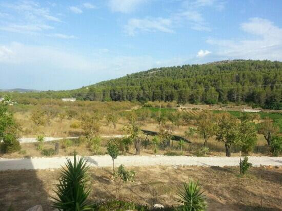 Jalon Valley景点图片