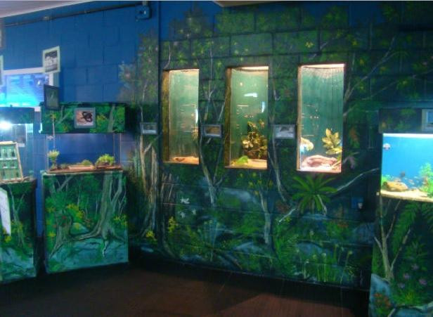 Aquario de Peruibe景点图片