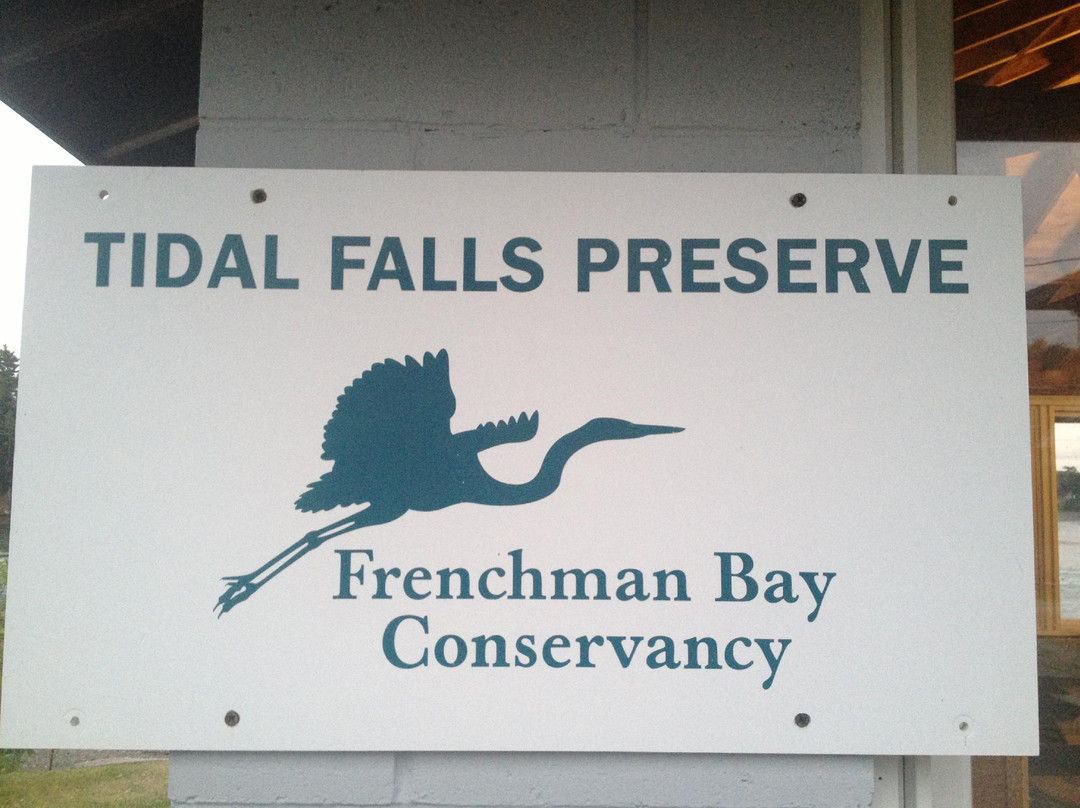 Tidal Falls Preserve景点图片