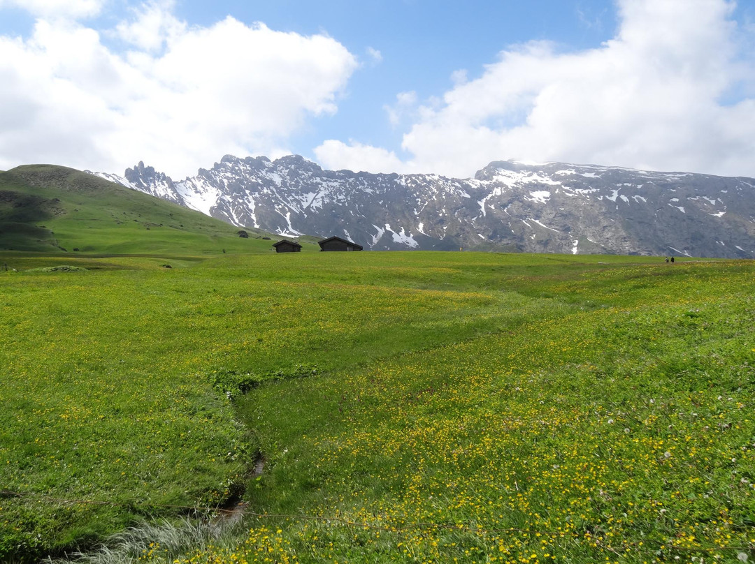 Cabinovia Alpe di Siusi景点图片