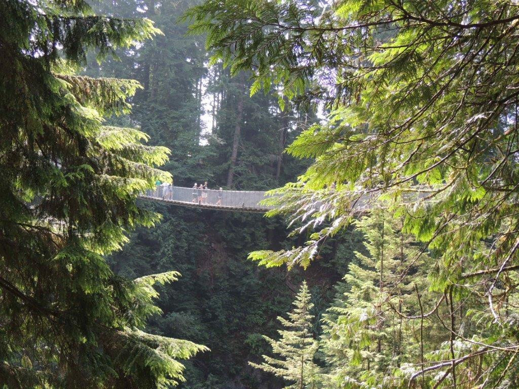 卡皮拉诺吊桥及公园-北温哥华必去景点