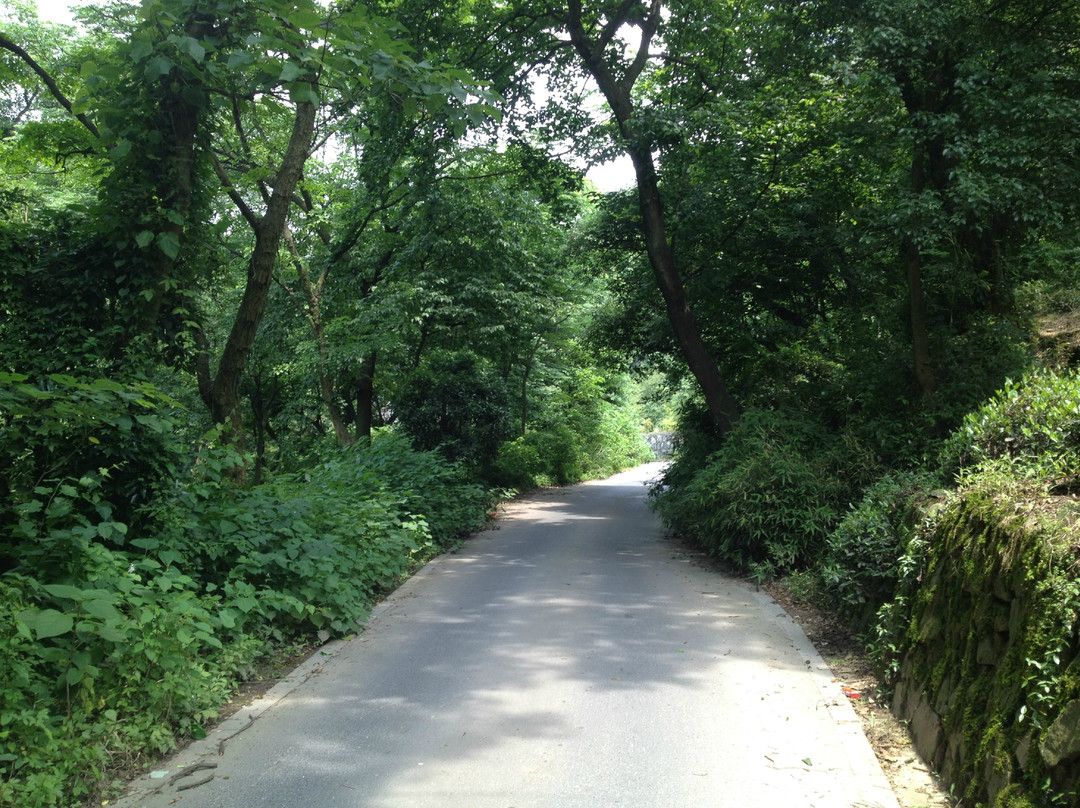 虎跑梦泉-杭州市必去景点