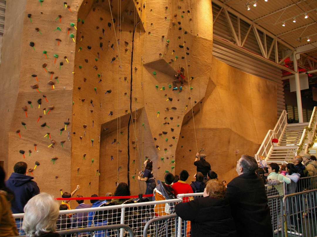 Aviator Sports and Events Center-布鲁克林必去景点