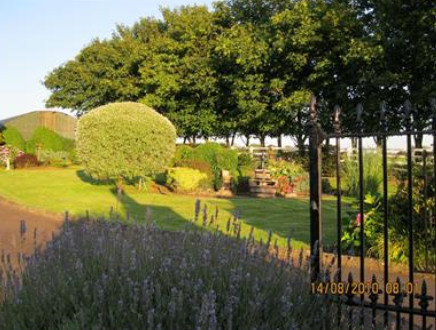 Rosebank Farm B&B主图