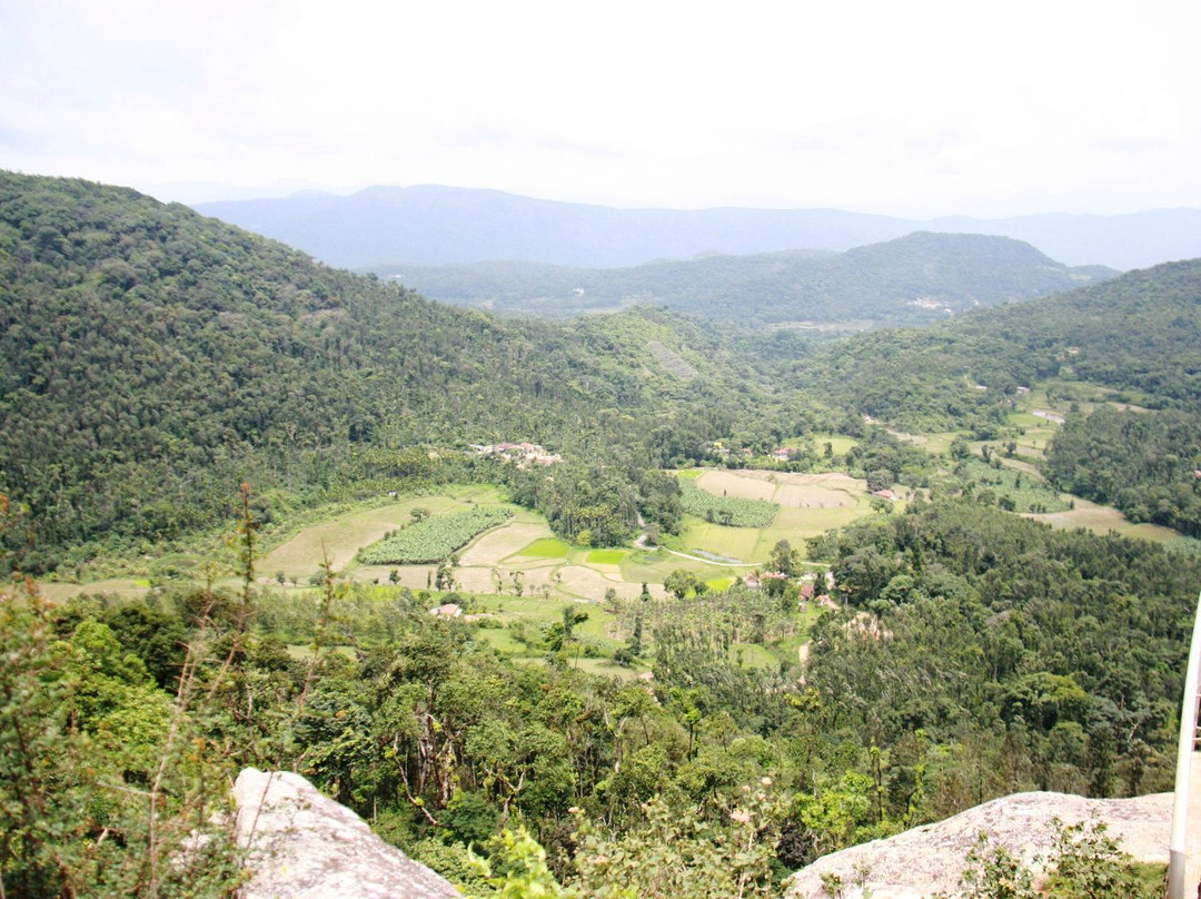 Karthik Estate Cottages主图