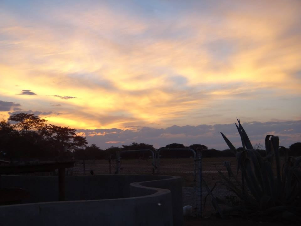 Harnas Wildlife Foundation-Gobabis必去景点