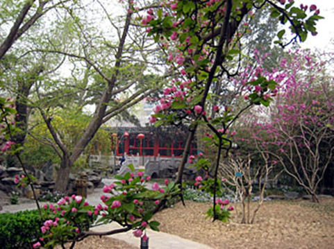 北京竹园宾馆主图