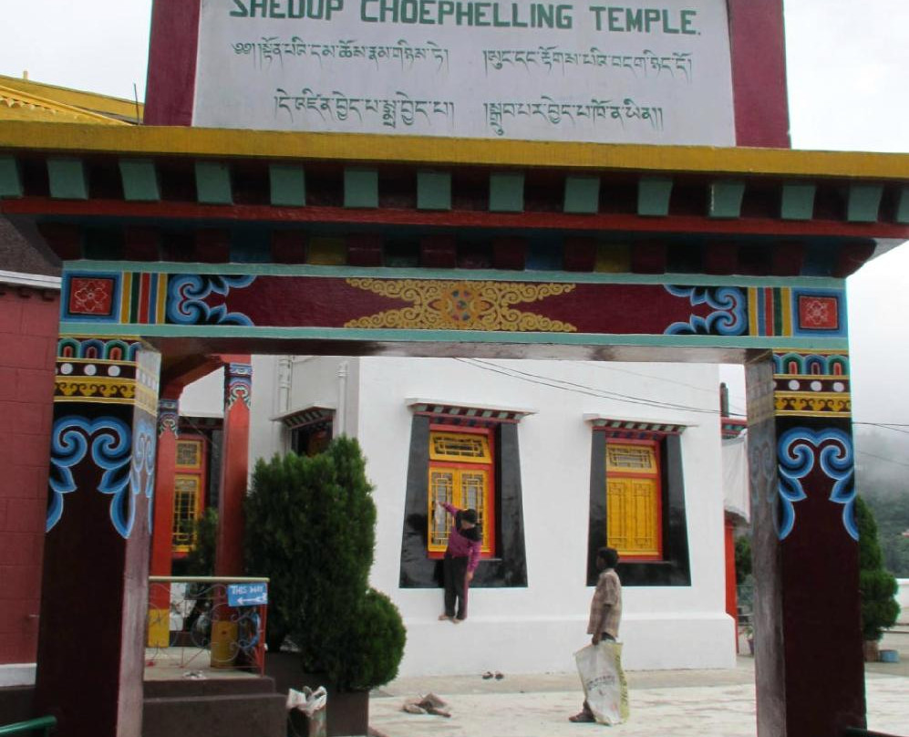 Shedup Choepelling Temple景点图片