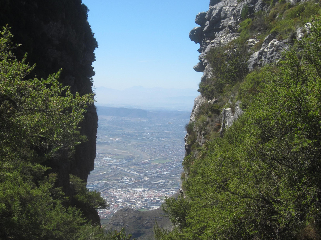 Table Mountain Walks-开普敦中心区必去景点