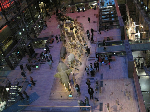 自然历史博物馆-巴黎必去景点