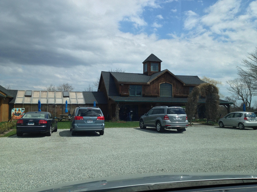 Sweet Berry Farm-米德尔敦必去景点