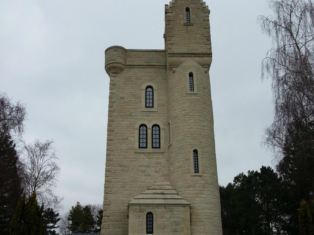 Ulster Memorial Tower & Thiepval Wood景点图片