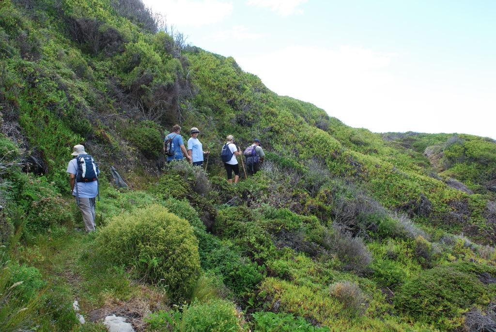 The Dolphin Trail-暴风河必去景点