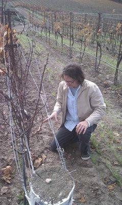 Clos Pepe Clos Pepe Vineyardsand Estate Wines-隆波克必去景点