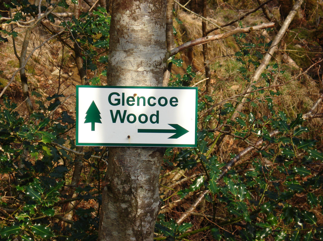 Highland Titles Nature Reserve-Duror必去景点