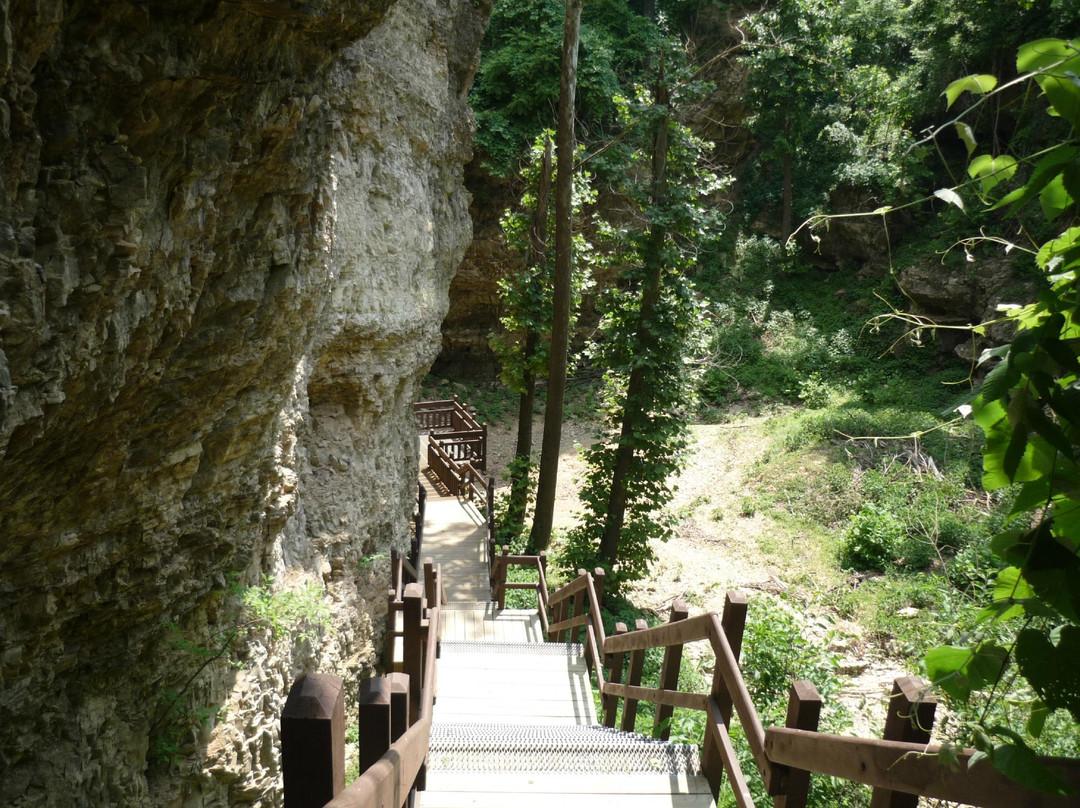 Grand Gulf State Park景点图片