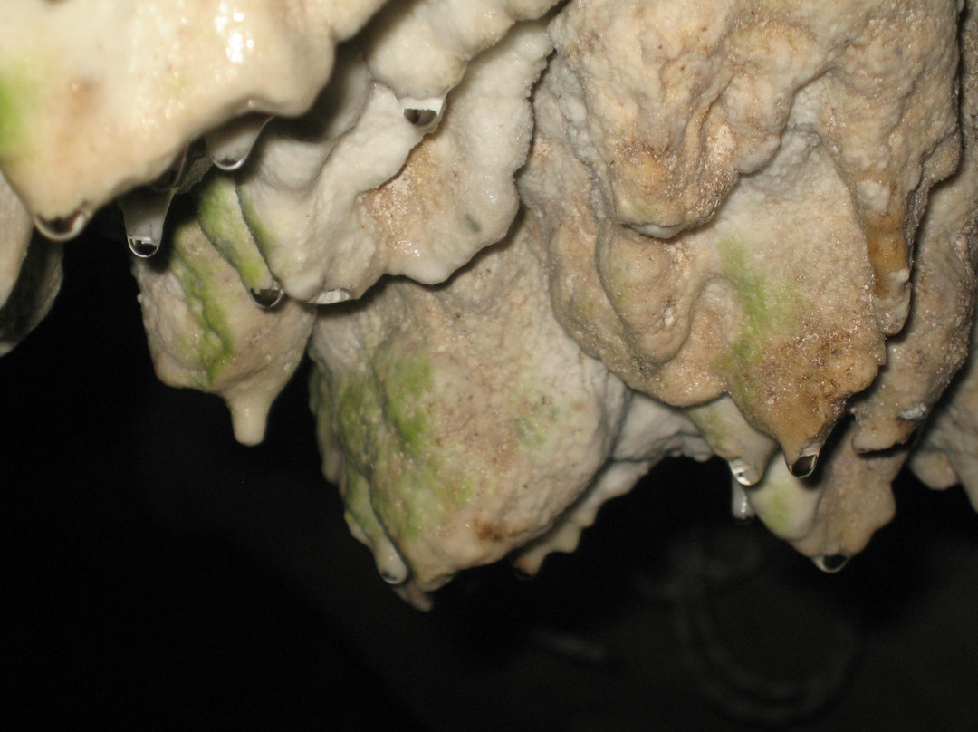 Grotte Di Castelcivita景点图片