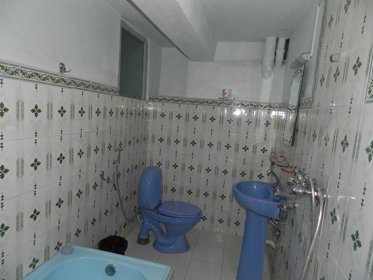 Sailung Village Hotel-浴室