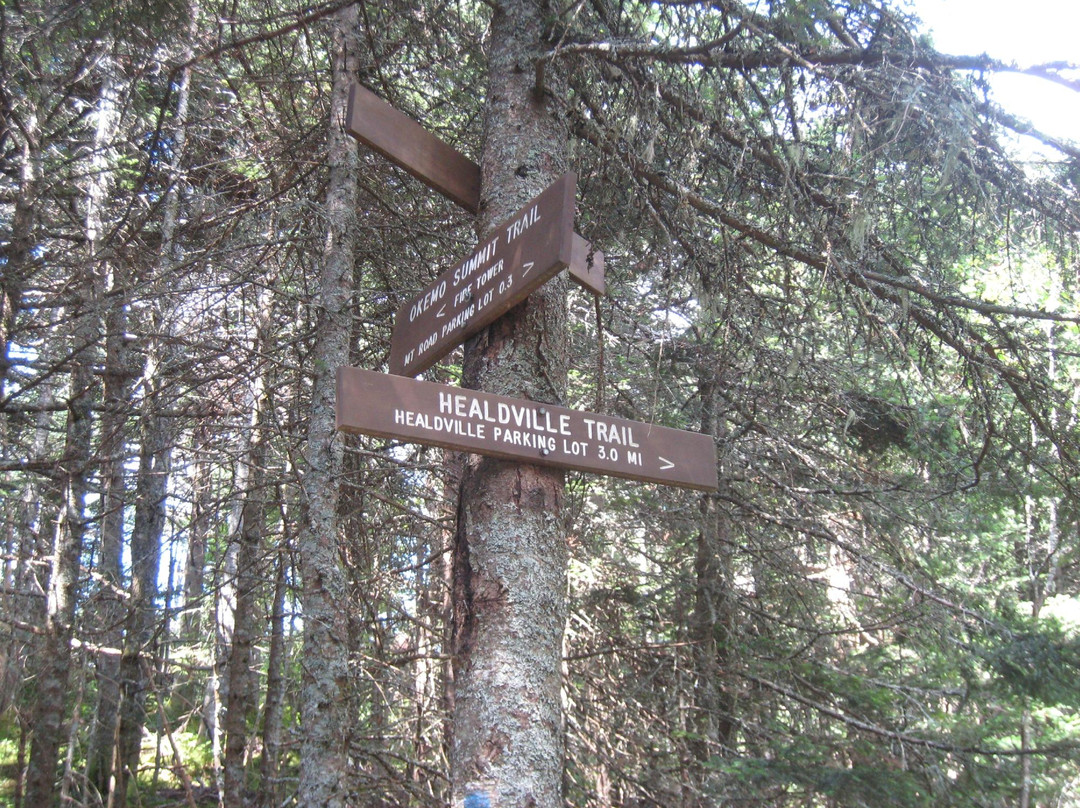 Healdville Trail-Ludlow必去景点