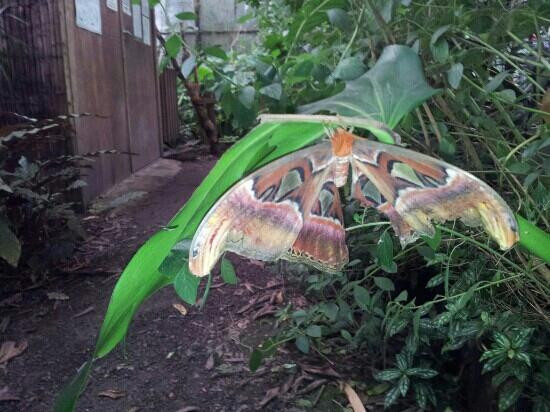 Felinwynt Rainforest Centre-Felinwynt必去景点