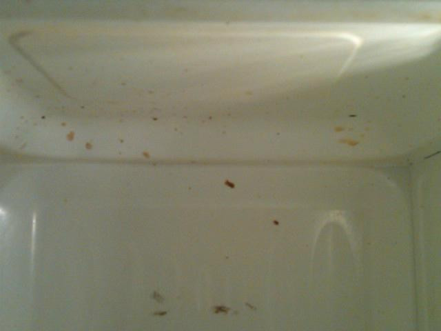 Artists Inn & Cottages主图