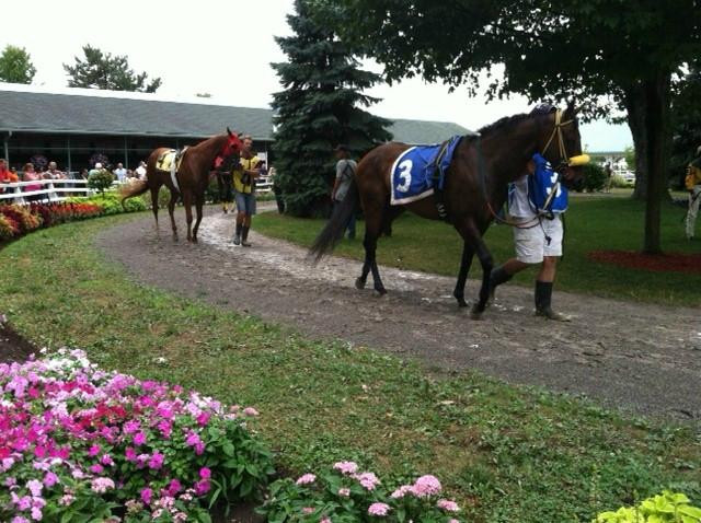 Fort Erie Race Track-Fort Erie必去景点