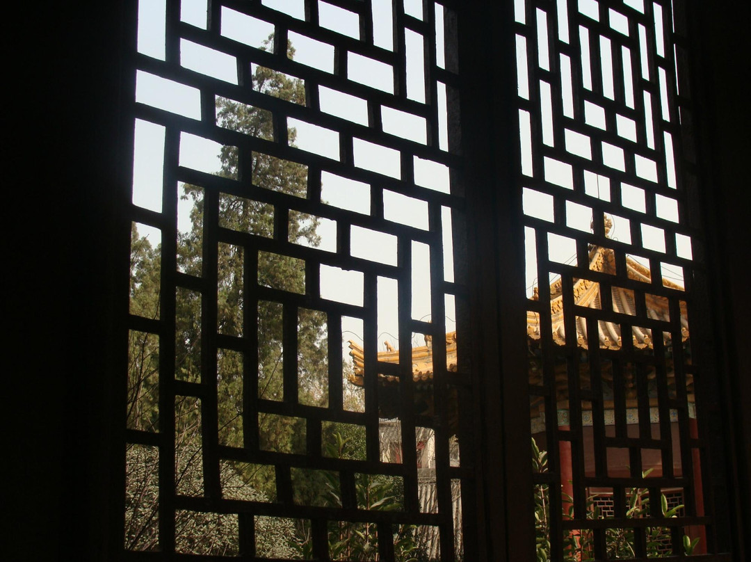 碑林博物馆-西安市必去景点