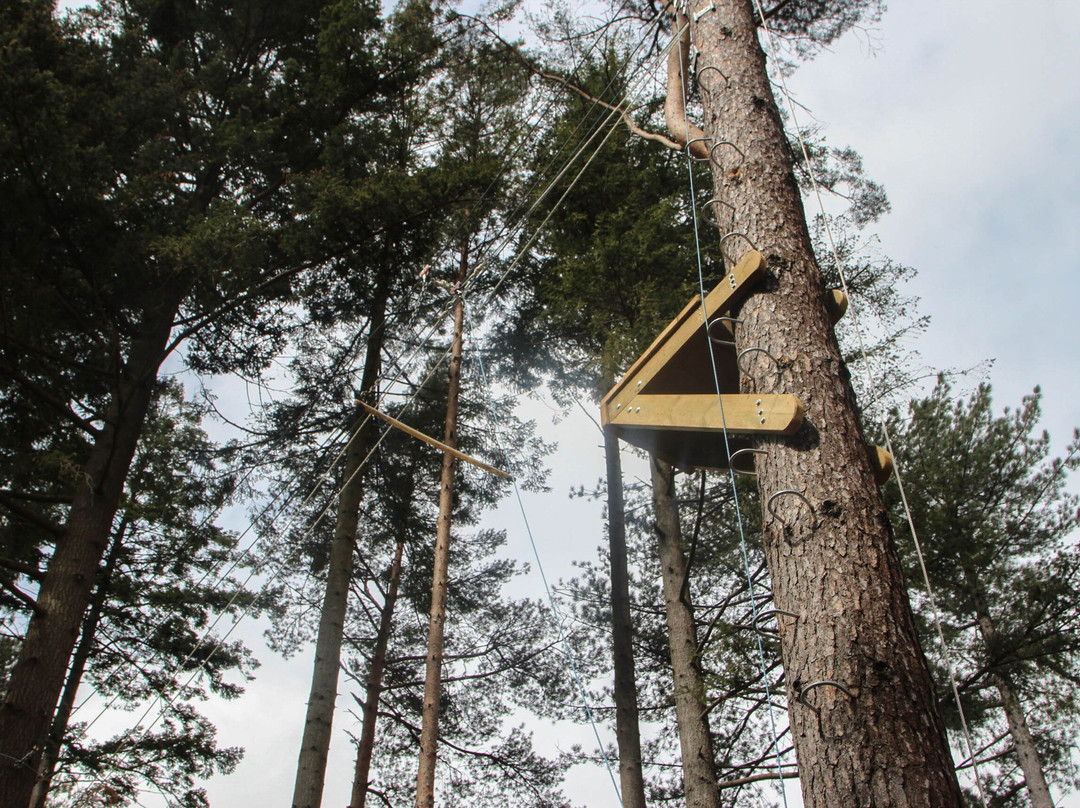 Scout Adventures Broadstone Warren景点图片