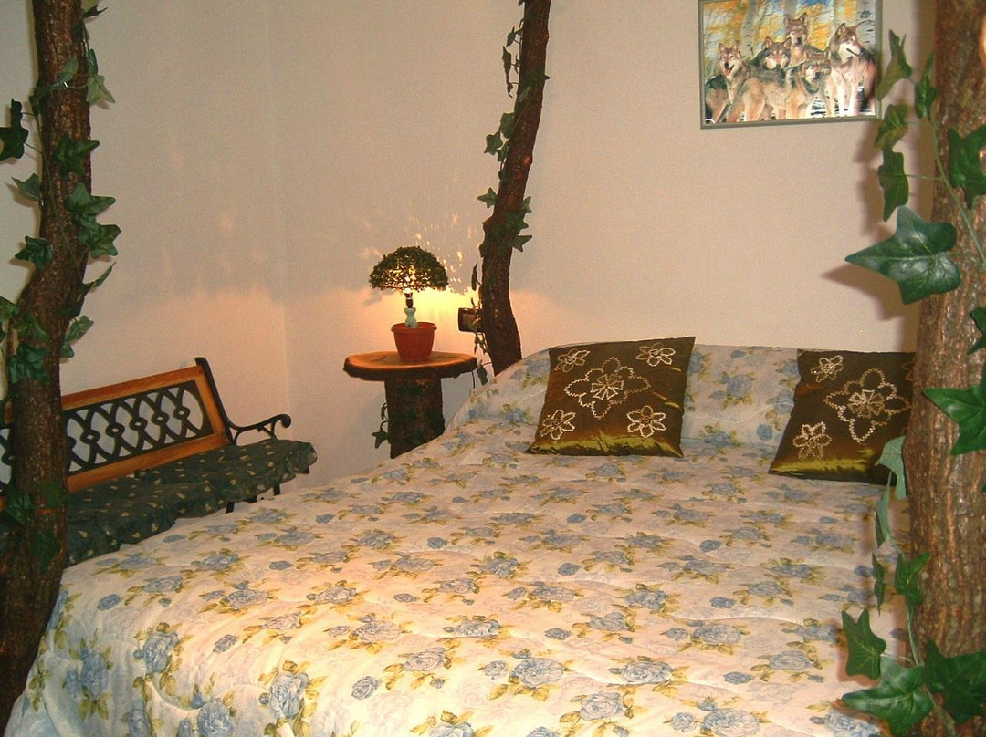 Bed and Breakfast Il Gufo e La Civetta主图