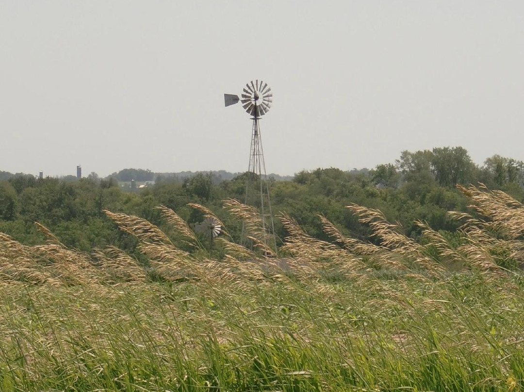 Amish Tours of Harmony-Harmony必去景点