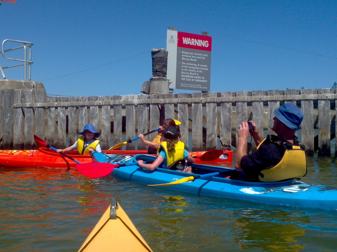 Canoe The Coorong - Day Tours-Hindmarsh Island必去景点