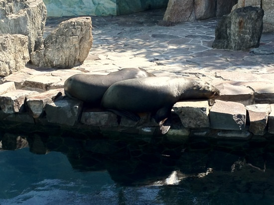 Edogawa Natural Zoo-江戸川区必去景点