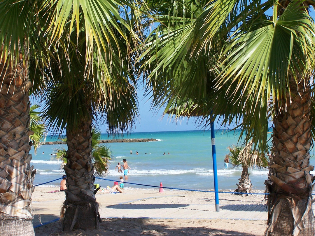 Hostal Casa Paco主图