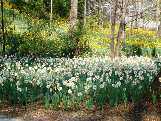 Gibbs Gardens-Ball Ground必去景点