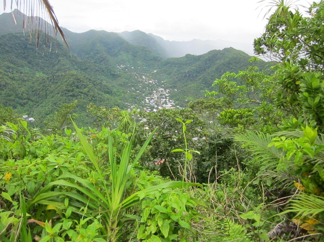 Mount Alava景点图片