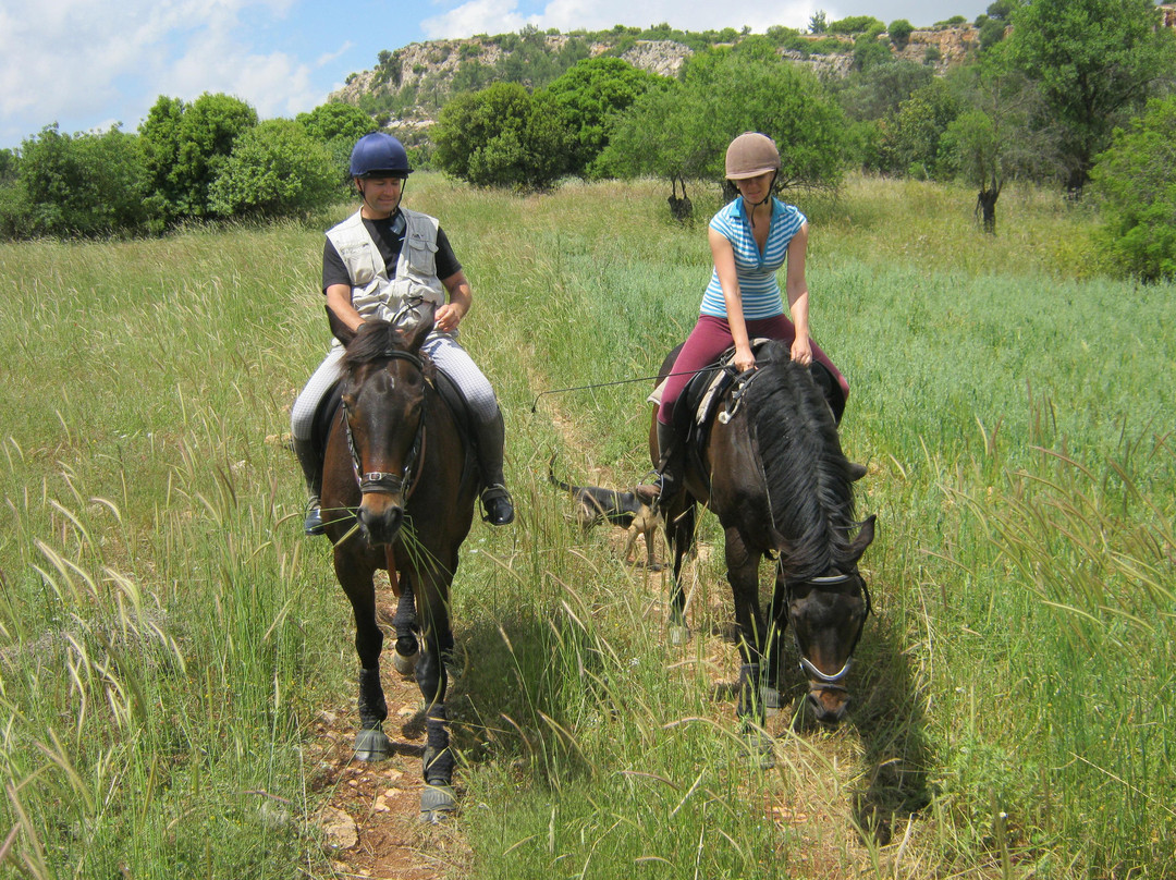 Ride in Cyprus Ltd-Melandra必去景点