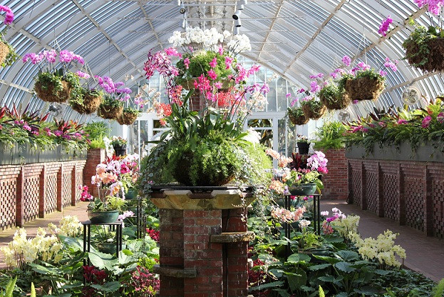 菲普斯温室植物园-匹兹堡必去景点