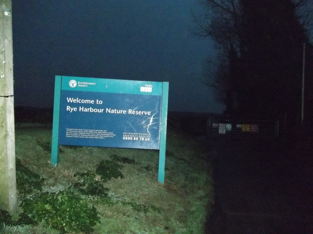 Rye Harbour Nature Reserve景点图片