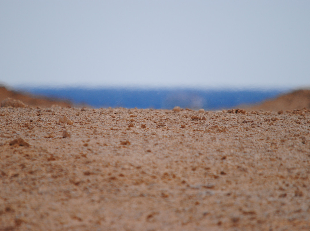 Tiran Island-Tiran Island必去景点