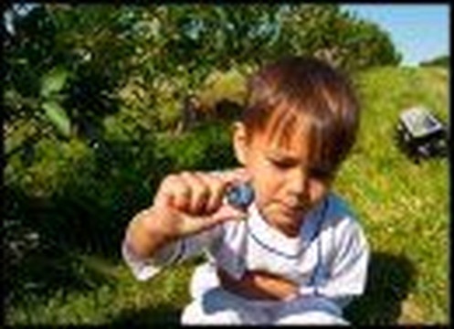 Mt Airy Orchards-Dillsburg必去景点