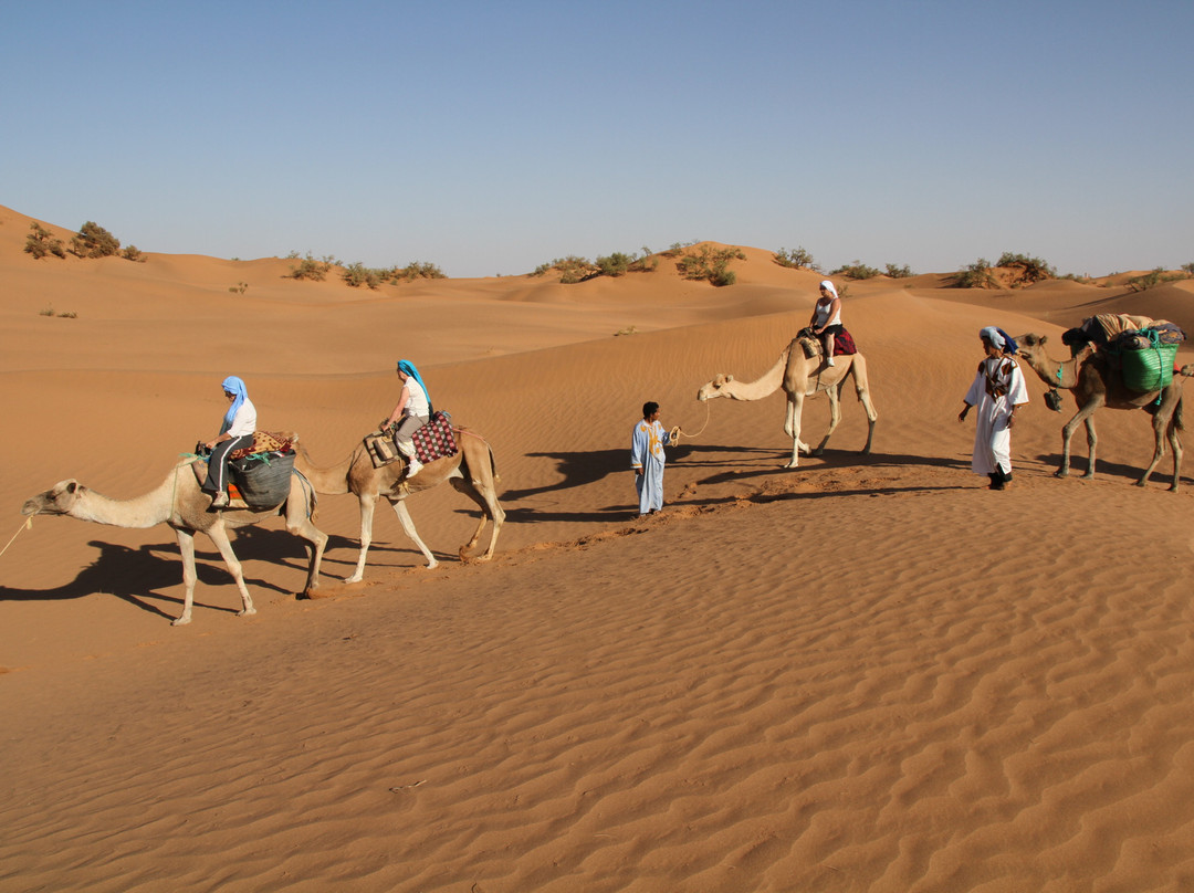 Bivouac sous les Etoiles-迈哈米德必去景点