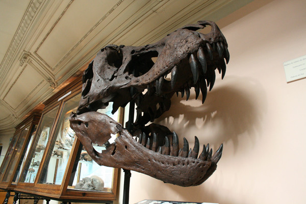 Museo Geominero-马德里必去景点