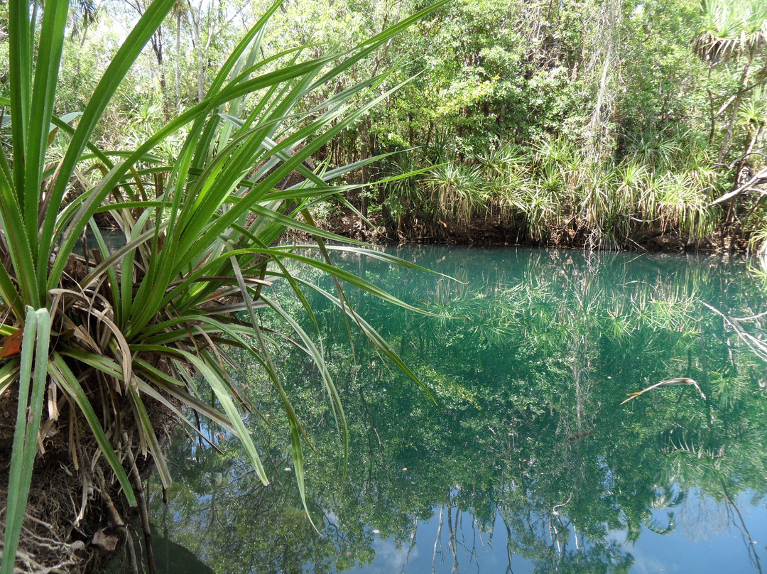 Berry Springs Nature Park-达尔文市必去景点