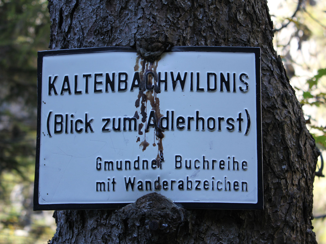 Kaltenbachwildnis景点图片