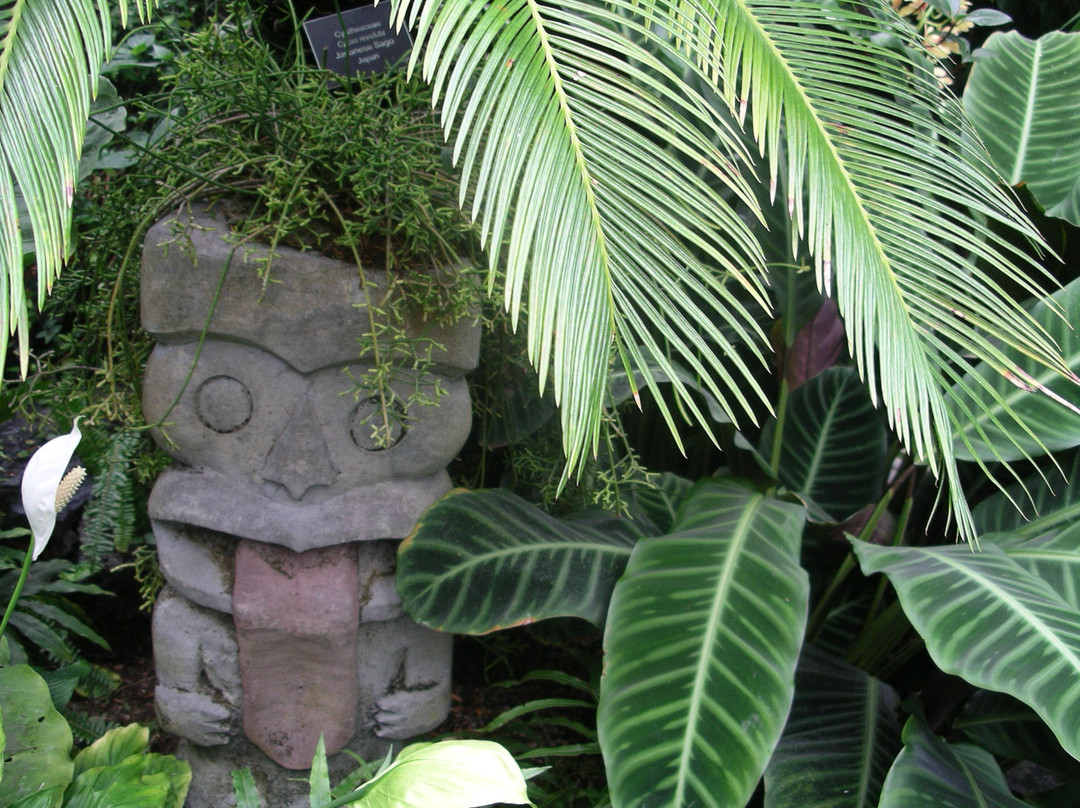W.W. Seymour Botanical Conservatory景点图片