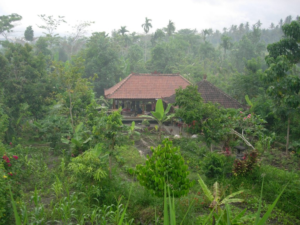 Side By Side Organic Farm-卡朗阿森必去景点